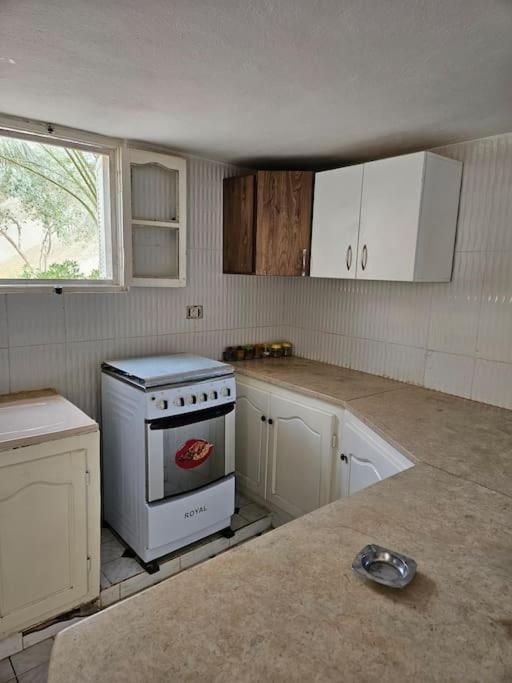 Hadhri Appartement 托泽尔 外观 照片