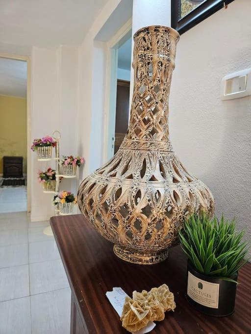 Hadhri Appartement 托泽尔 外观 照片