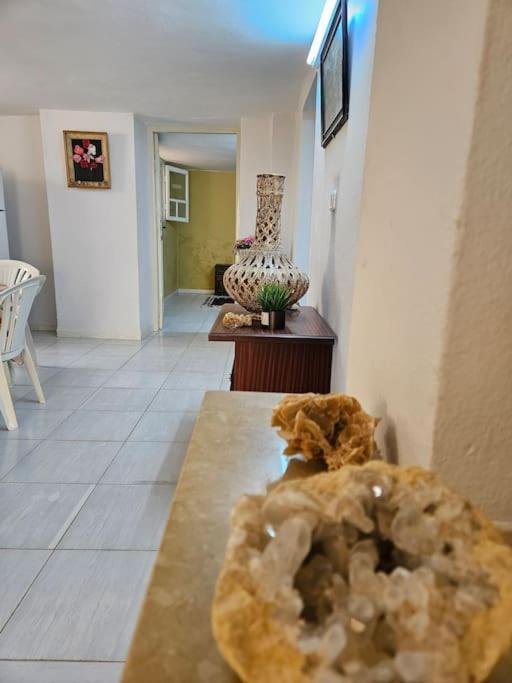 Hadhri Appartement 托泽尔 外观 照片