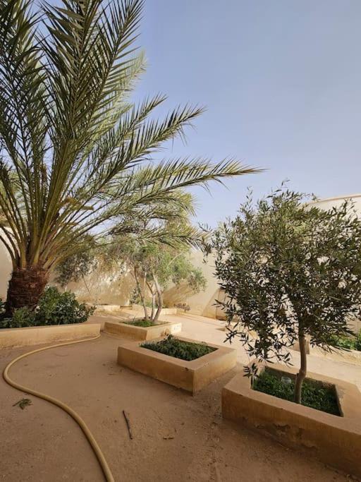 Hadhri Appartement 托泽尔 外观 照片